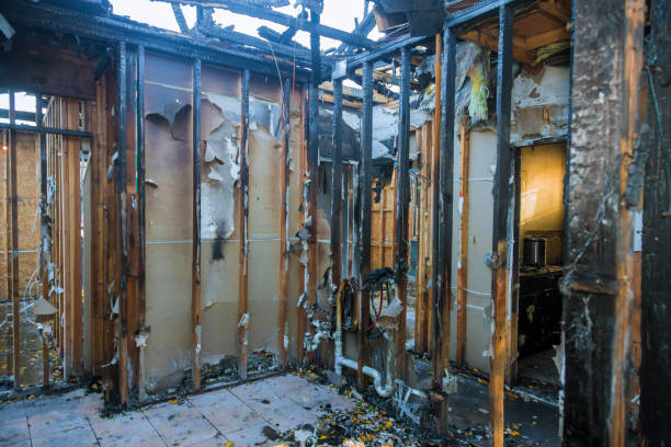 Professional Fire Damage Removal technician working in Brookhaven, PA