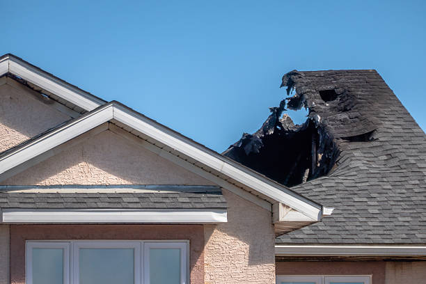 Top rated local Fire Damage Removal specialists in Brookhaven, PA